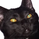 WallyTF