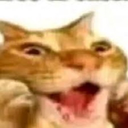 NekoSorprendido_Mtln Discord emoji