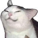 Smugcat smugcat Discord Emoji