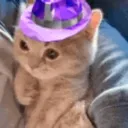 catfedora Discord Emoji