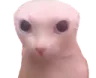 zugmib Discord emoji