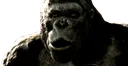 monkeylaugh Discord Emoji