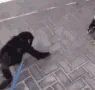 ymonkehug ymonkehug