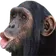 Monke Monke