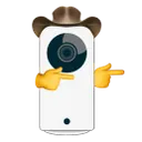 backatyacowboy