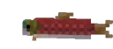 salmon_spin
