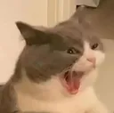 screm