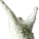 CatHeil CatHeil