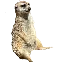 Discord_Emote_Makerremovebgprevi Discord Emoji