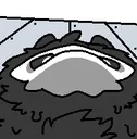 schnoz