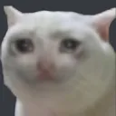 CatcrybyRIN Discord Emoji