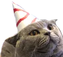 cbday