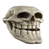 trollskull trollskull