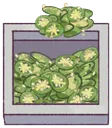 i_jalapeno