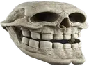 troll_skull