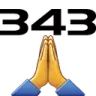 343_pls