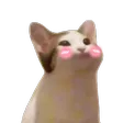 schroBlush schroBlush