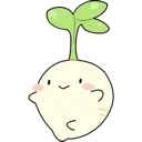 Radish
