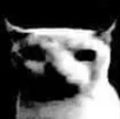 bwuadespair