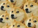 doge Discord Emoji