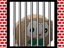 gayrinajail
