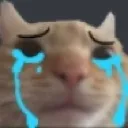 Cry_cat