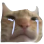 3valcat_cry