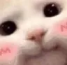 catblush
