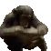 monke