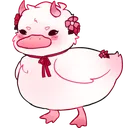 0IvoryDuck
