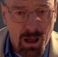 waltshock