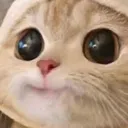 meowge