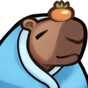 capyCOZY