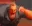 memeMrincredible