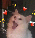 cb_cat_happy_heart Discord emoji