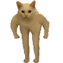 catstand