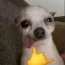 emoji_97