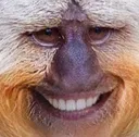 apespression apespression