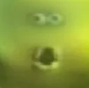 oog