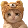 DGcatBearCry DGcatBearCry