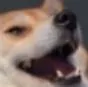 zdoghehe