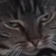 sadloppa