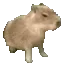 cocodog cocodog
