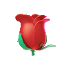 giphyrose