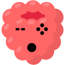 GTfruitraspberry Discord emoji