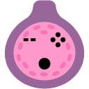 GTfruitfig Discord emoji