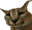 sadfloppa Discord emoji