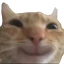 howieHappy