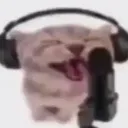 :CatRap: