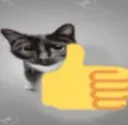 Catlike catlike Discord Emoji